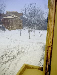 Tiaret 513- Quartier sous la neige